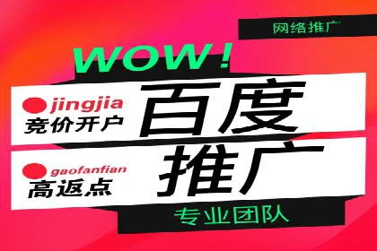 竞价推广SEM托管案例：优化策略成就品牌效应